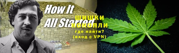 ГАЛЛЮЦИНОГЕННЫЕ ГРИБЫ Касимов