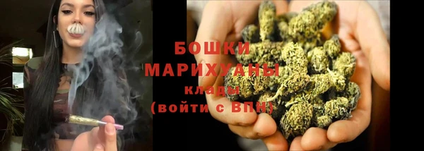 ГАЛЛЮЦИНОГЕННЫЕ ГРИБЫ Касимов