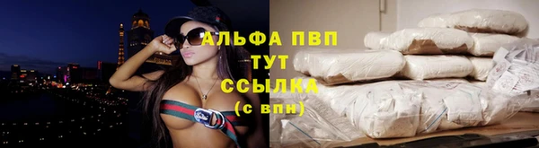 ГАЛЛЮЦИНОГЕННЫЕ ГРИБЫ Касимов