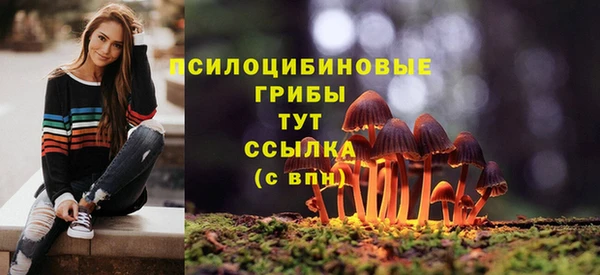 Альфа ПВП Карталы