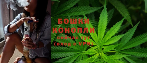 ГАЛЛЮЦИНОГЕННЫЕ ГРИБЫ Касимов