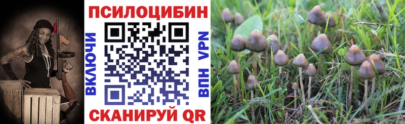 Галлюциногенные грибы GOLDEN TEACHER  купить   Невинномысск 